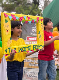 Mango Mania in Karachi: The City’s Love for Mangoes
