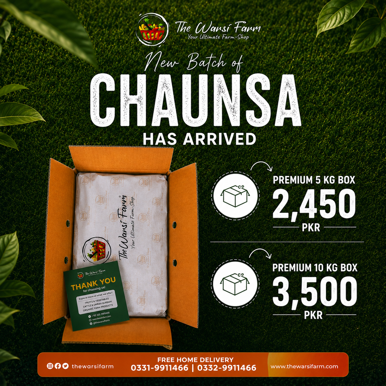 PREMIUM CHAUNSA MANGOES