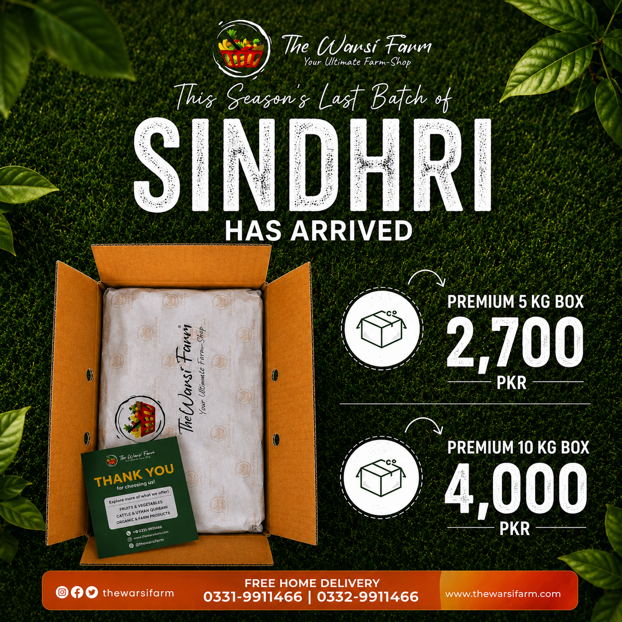 PREMIUM SINDHRI MANGOES