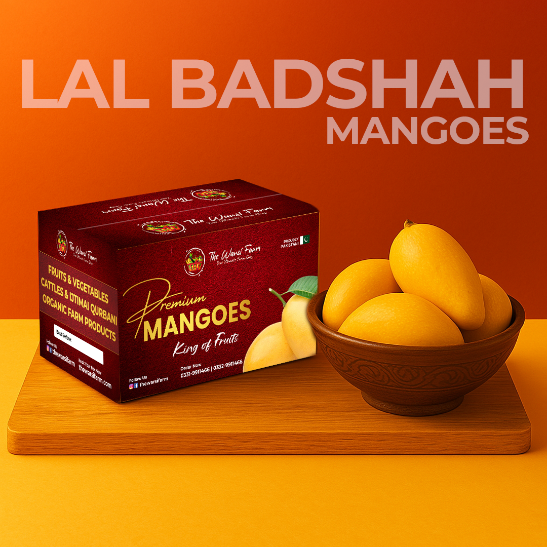 PREMIUM LAL BADSHAH MANGOES