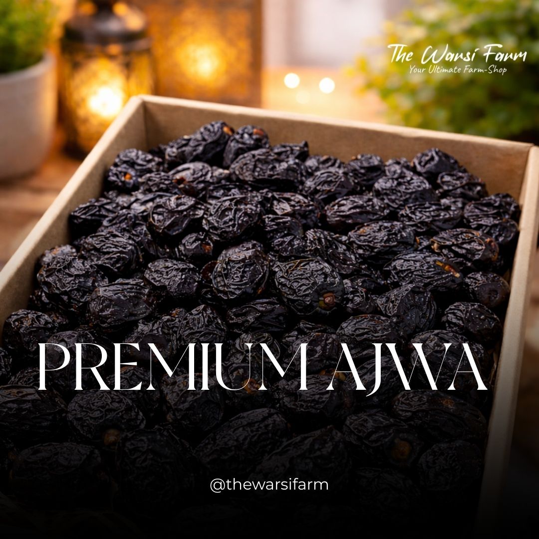 Premium Ajwa Khajor