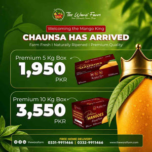 Premium Chaunsa Mangoes 5 KG and 10 KG Gift Box - The Warsi Farm