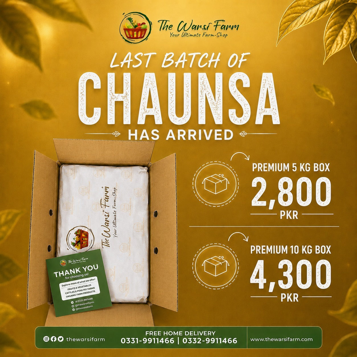 PREMIUM CHAUNSA MANGOES