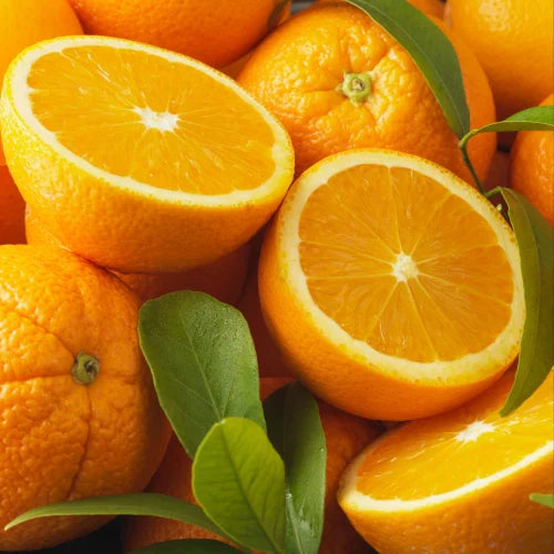 Orange Prices in Karachi – What You Need to Know This Season