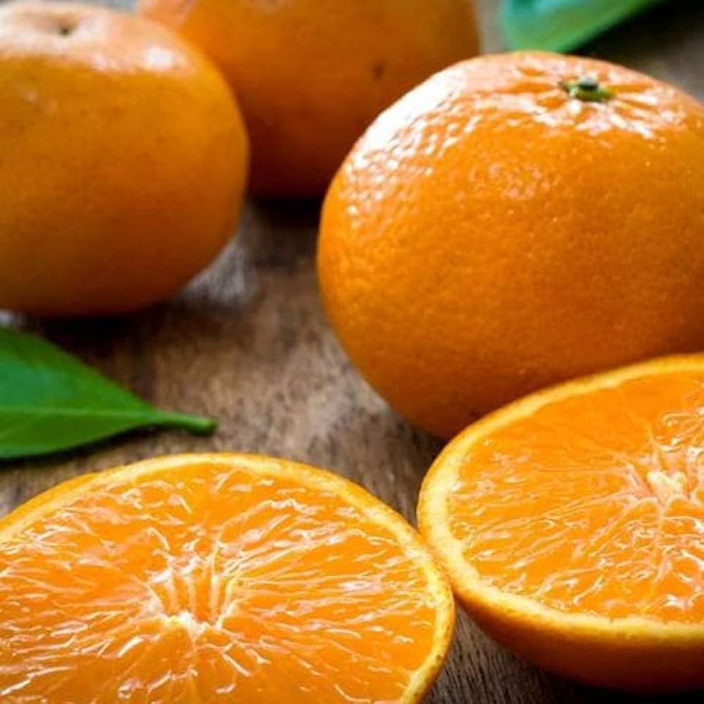 Orange Prices in Karachi – 2025 Guide