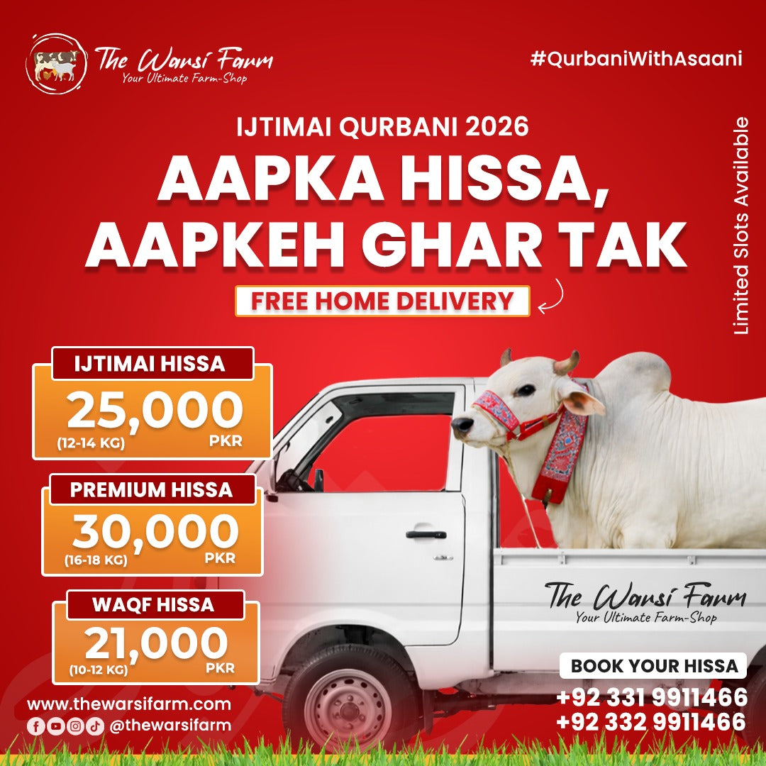 Ijtimai Qurbani 2026 in Karachi – The Warsi Farm