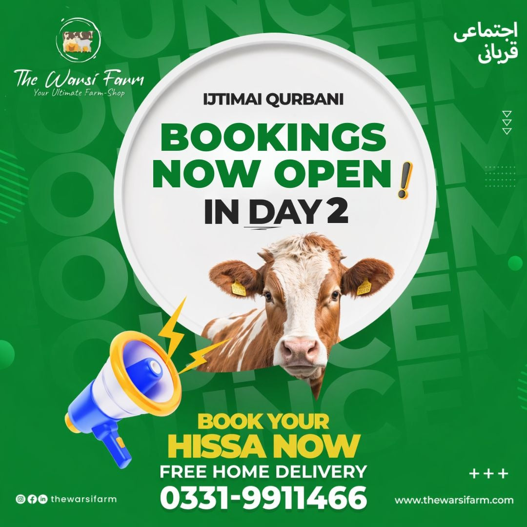Qurbani Day 2 Booking Now Open in Karachi 2026 | Secure Your Hissa – The Warsi Farm