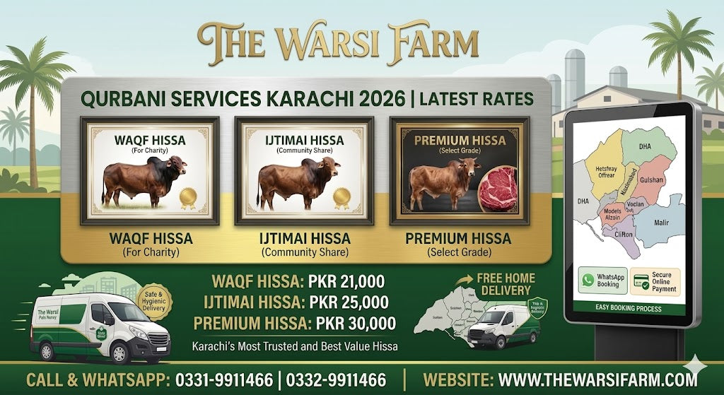 Cow Price in Pakistan for Qurbani 2026 | Latest Qurbani Rates – The Warsi Farm