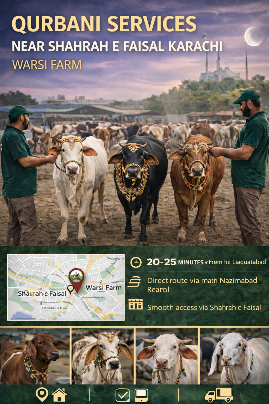 Qurbani Services Near Shahrah e Faisal Karachi | The Warsi Farm