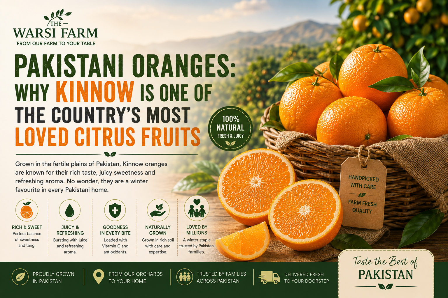 Pakistani Oranges: Why Kinnow Is One of the Country's Most Loved Citrus Fruits