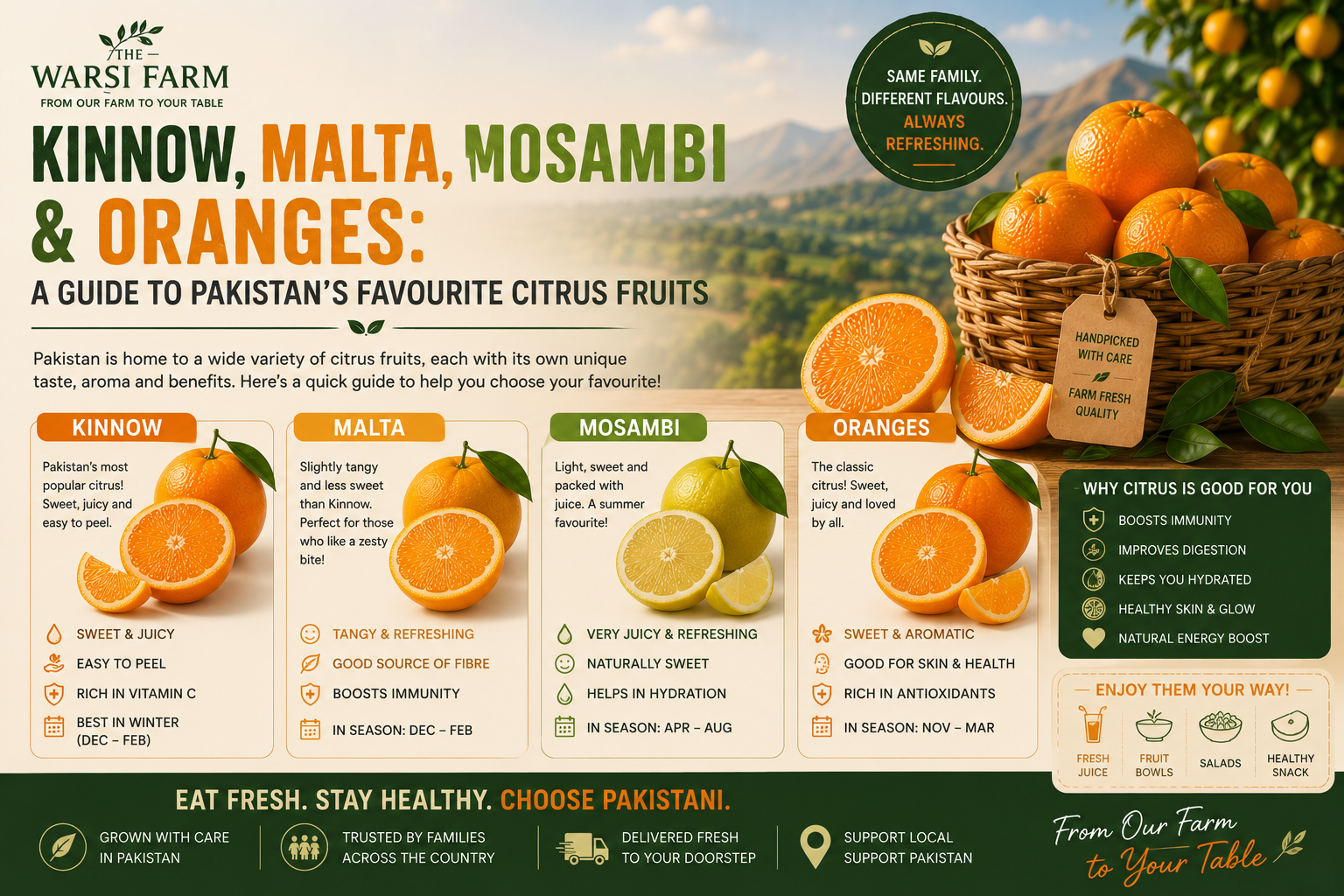 Kinnow, Malta, Mosambi and Oranges: A Guide to Pakistan's Favourite Citrus Fruits