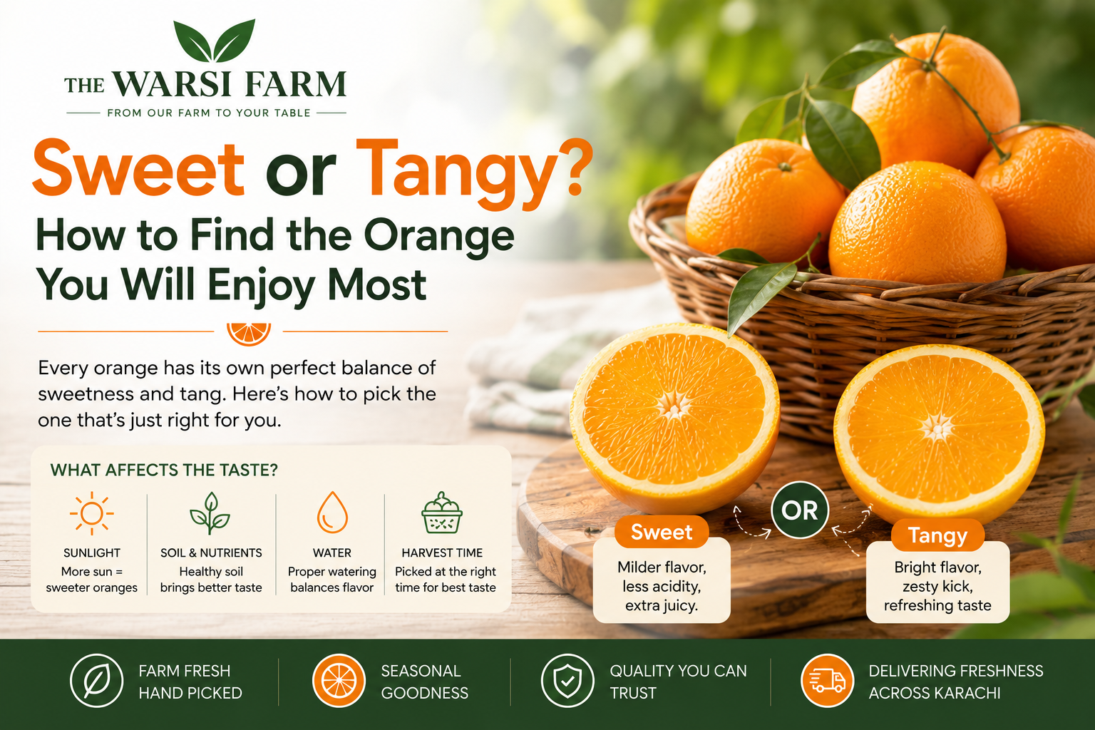 Sweet or Tangy? How to Find the Orange You Will Enjoy Most