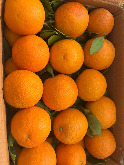 1kg Orange Price in Pakistan – Updated Rates, Market Trends & Buying Guide