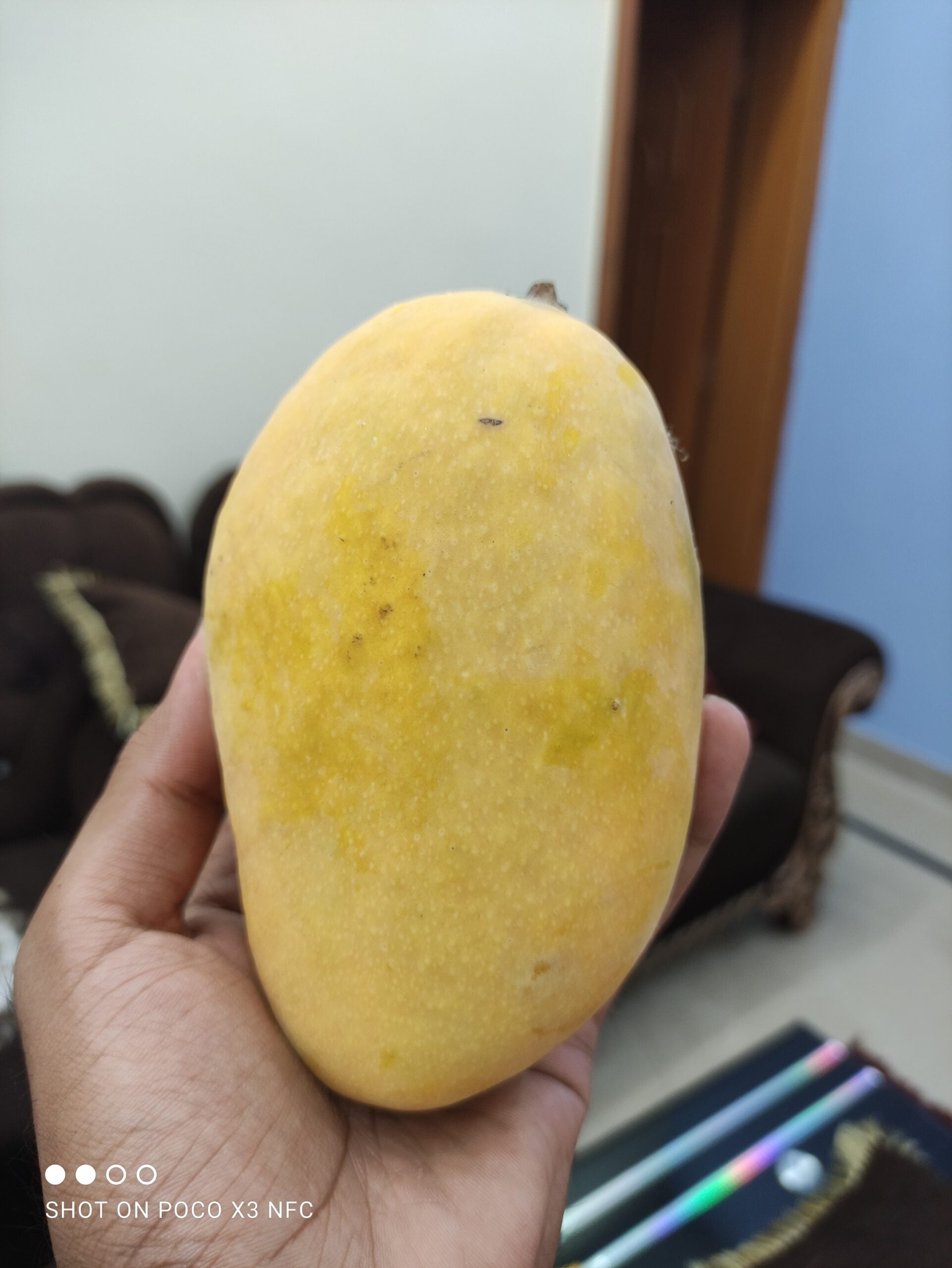 Chaunsa Mango Price in Pakistan: What You Need to Know