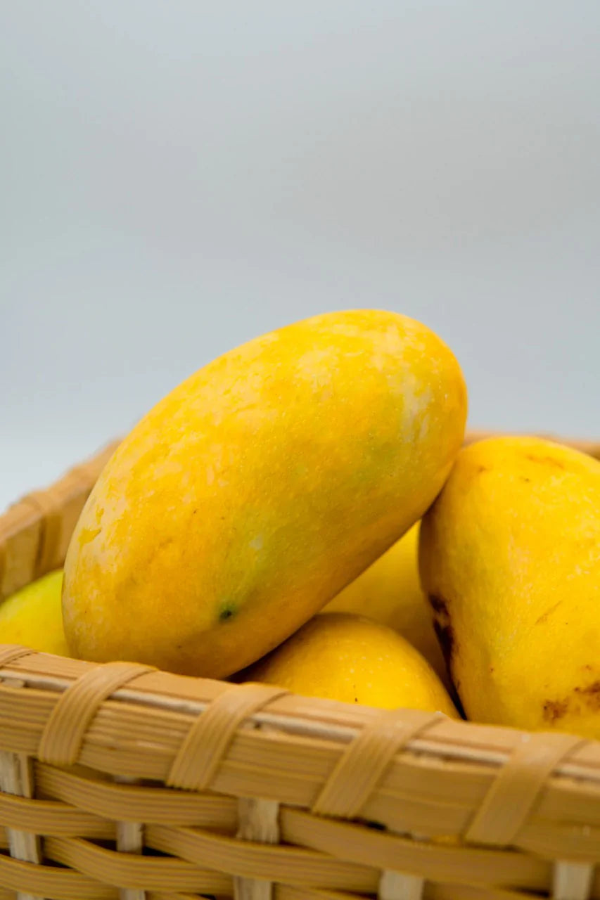 White Chaunsa Mango: A Unique Mango Delight
