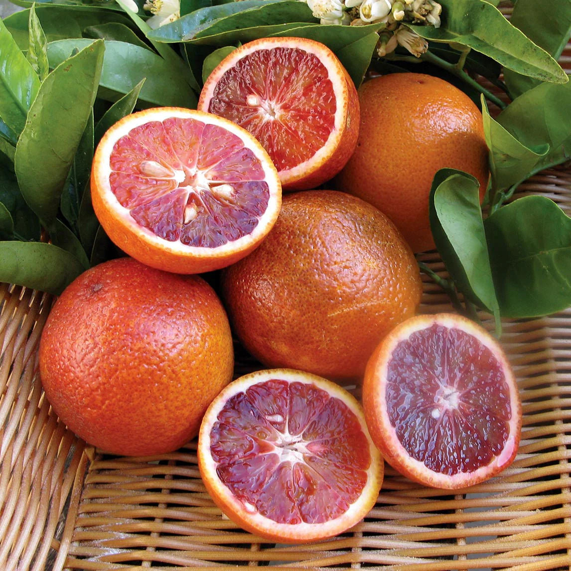 Red Blood Oranges Benefits
