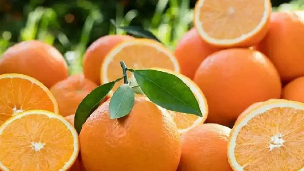Orange Season in Karachi – A Fresh Winter Delight