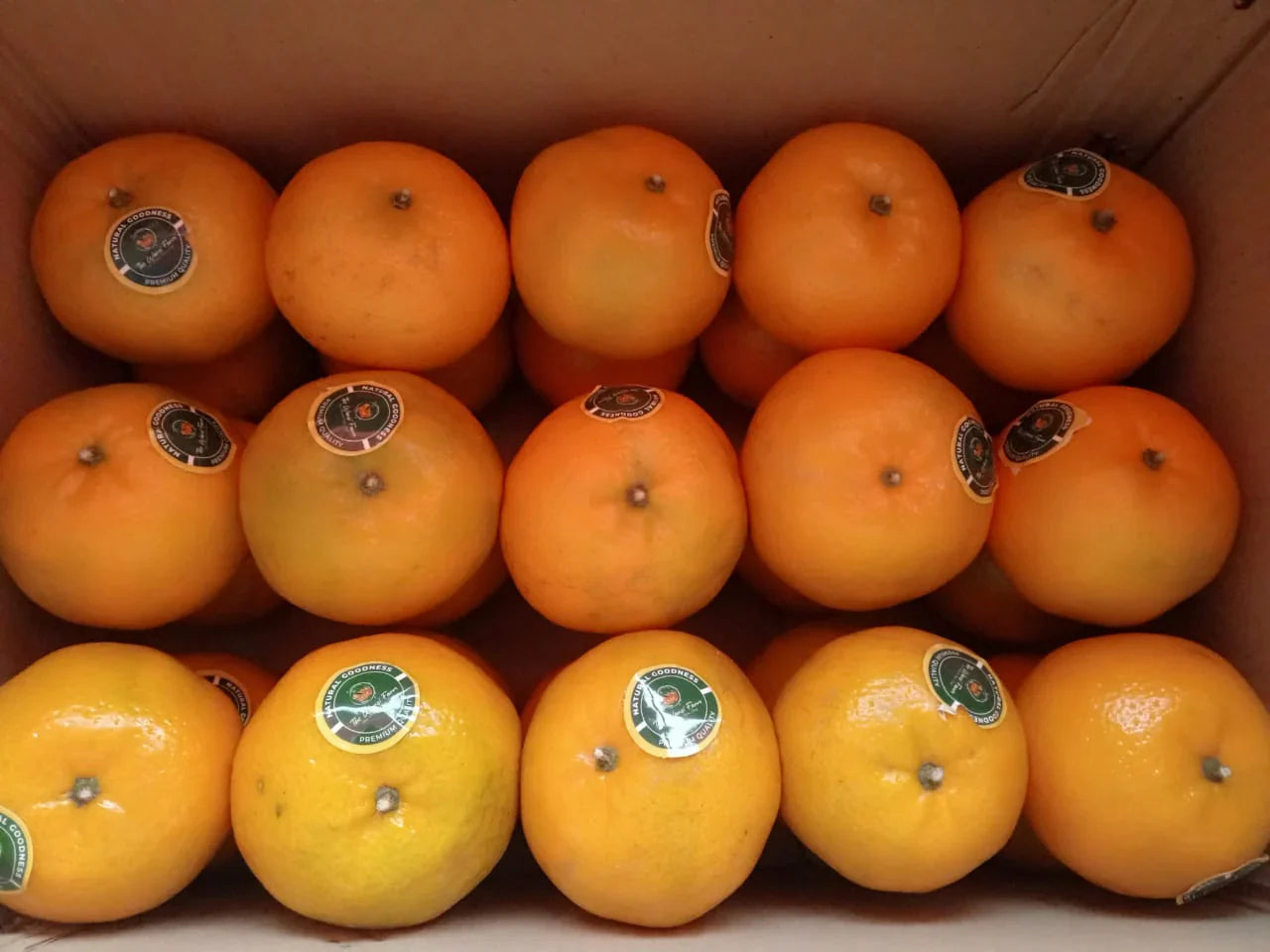 Fresh & Juicy Oranges in Karachi – Delivered to Your Doorstep