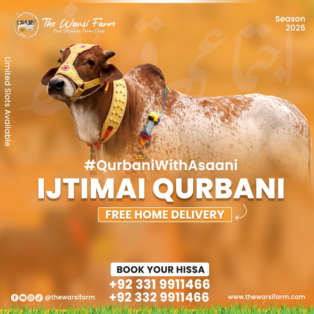 What is Qurbani? Complete Guide for Karachi Muslims | THE WARSI FARM