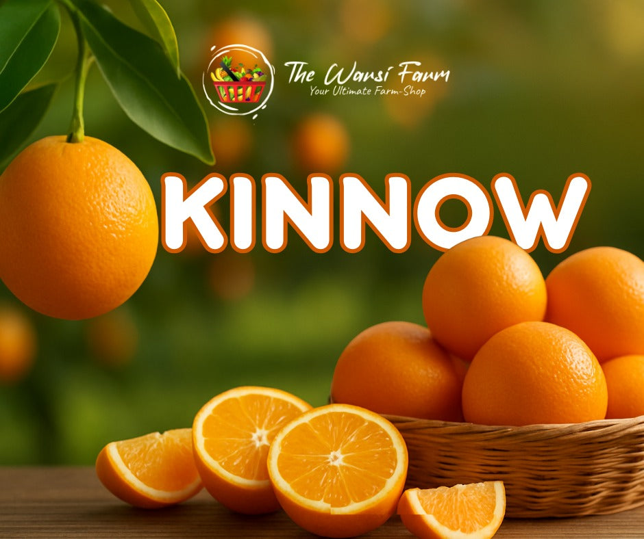 Nutritional Benefits of Oranges – Buy Fresh Healthy Oranges in Karachi | The Warsi Farm