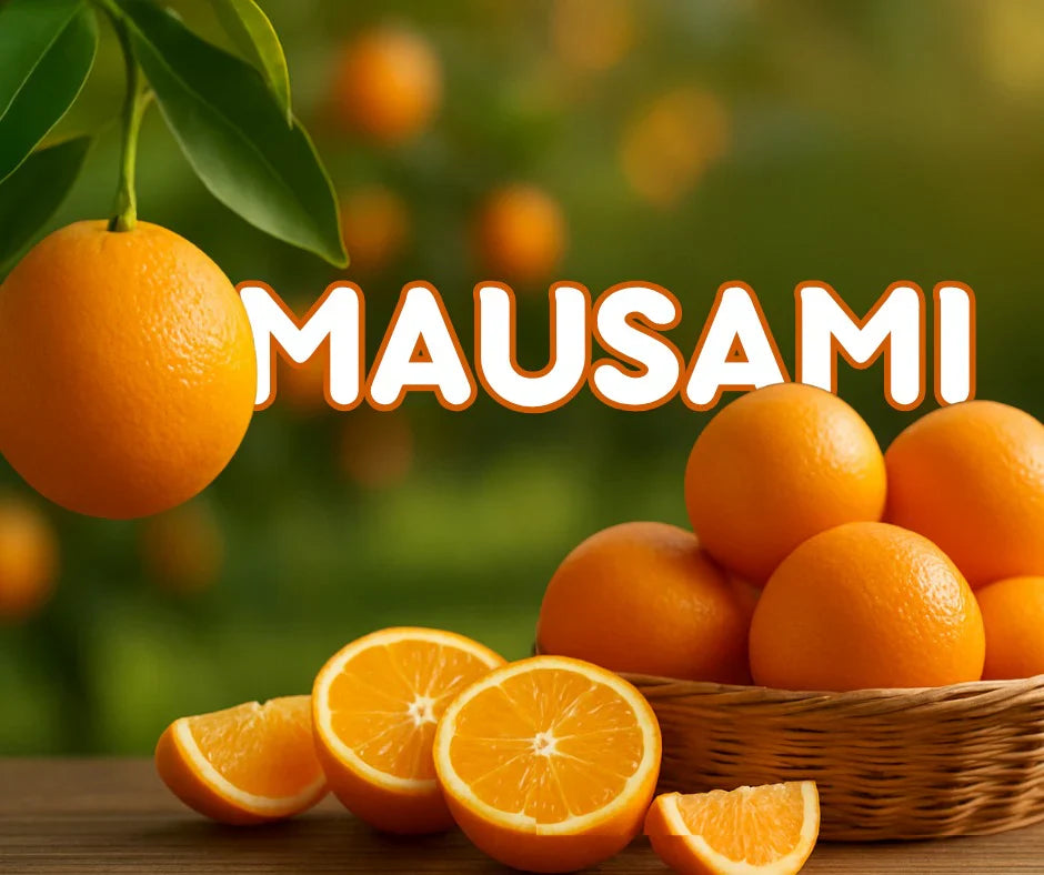 Mosambi Tree – The Warsi Farm