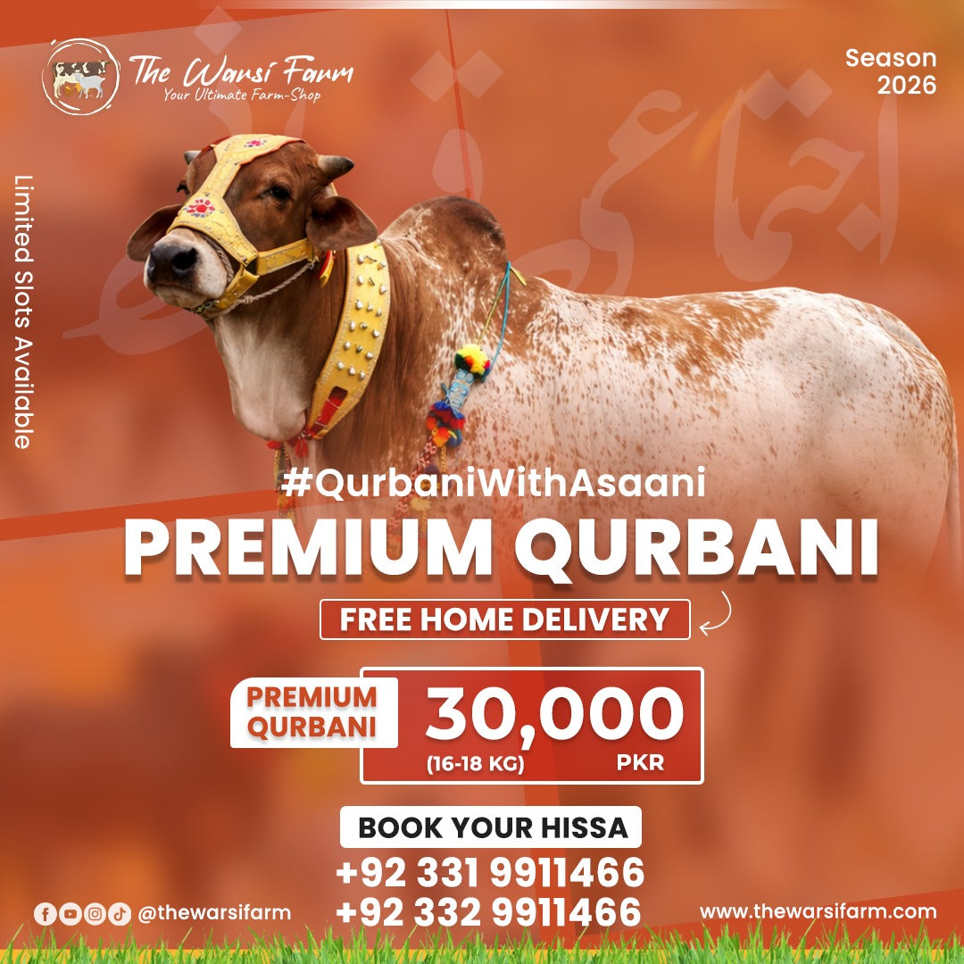 Premium Qurbani Karachi 2026 – Price, Weight & Luxury Qurbani Experience | THE WARSI FARM