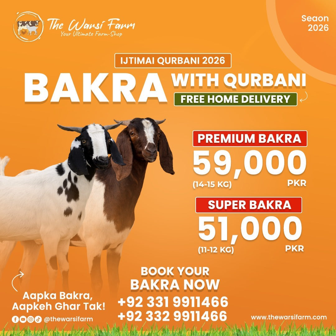 Hassle-Free Bakra Qurbani Hissa in Karachi: Quality & Convenience by The Warsi Farm