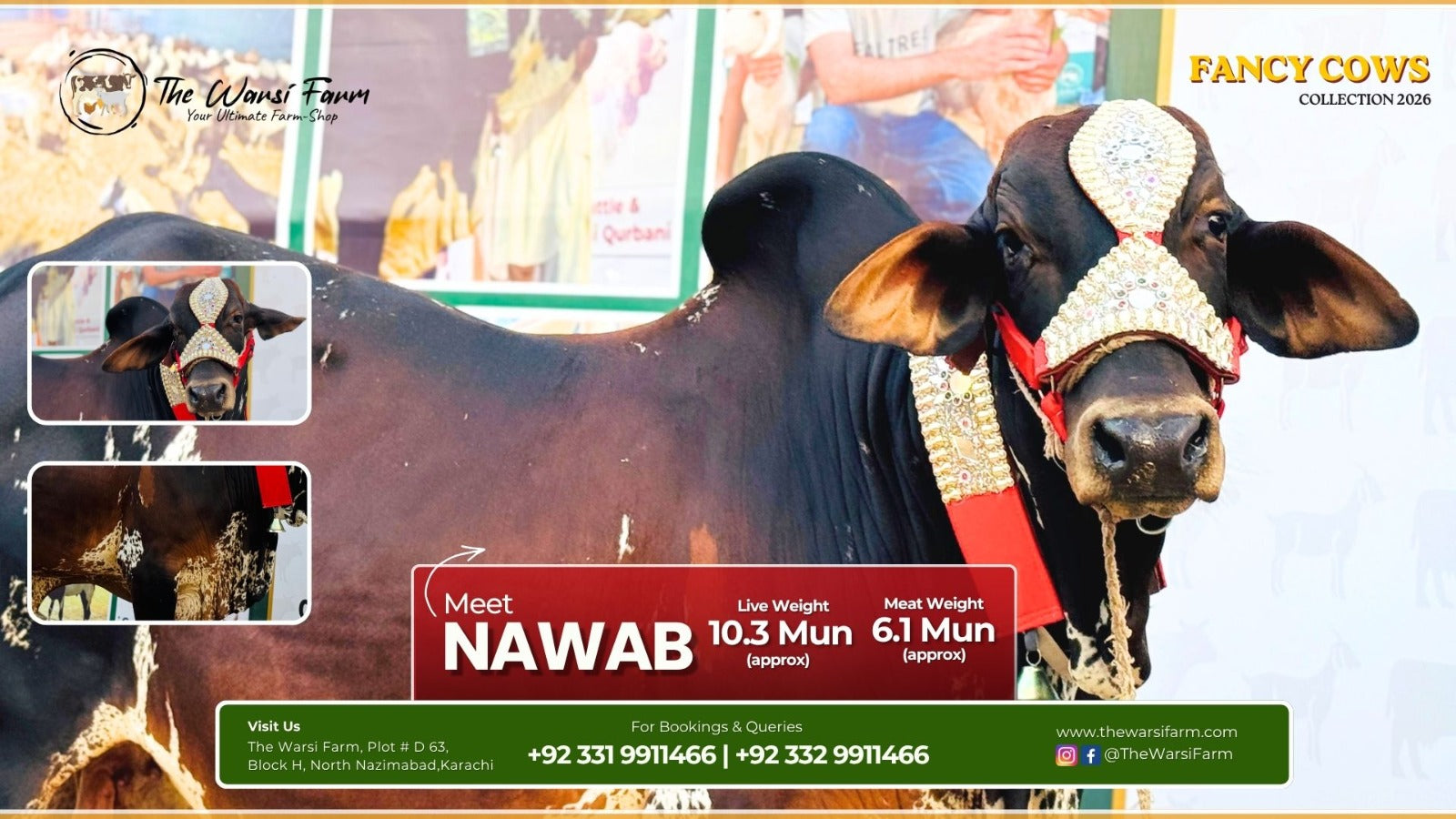Buy Your Fancy Cow: Nawab – Prestige and Power