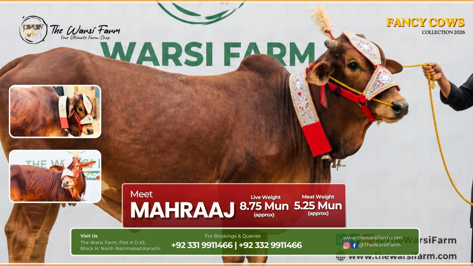 Buy Your Fancy Cow: Mahraaj – The Pride of the Farm