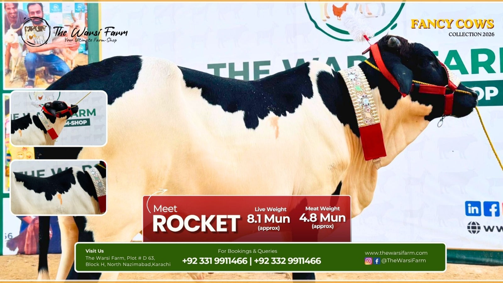 Buy Your Fancy Cow: Rocket – Compact and Premium