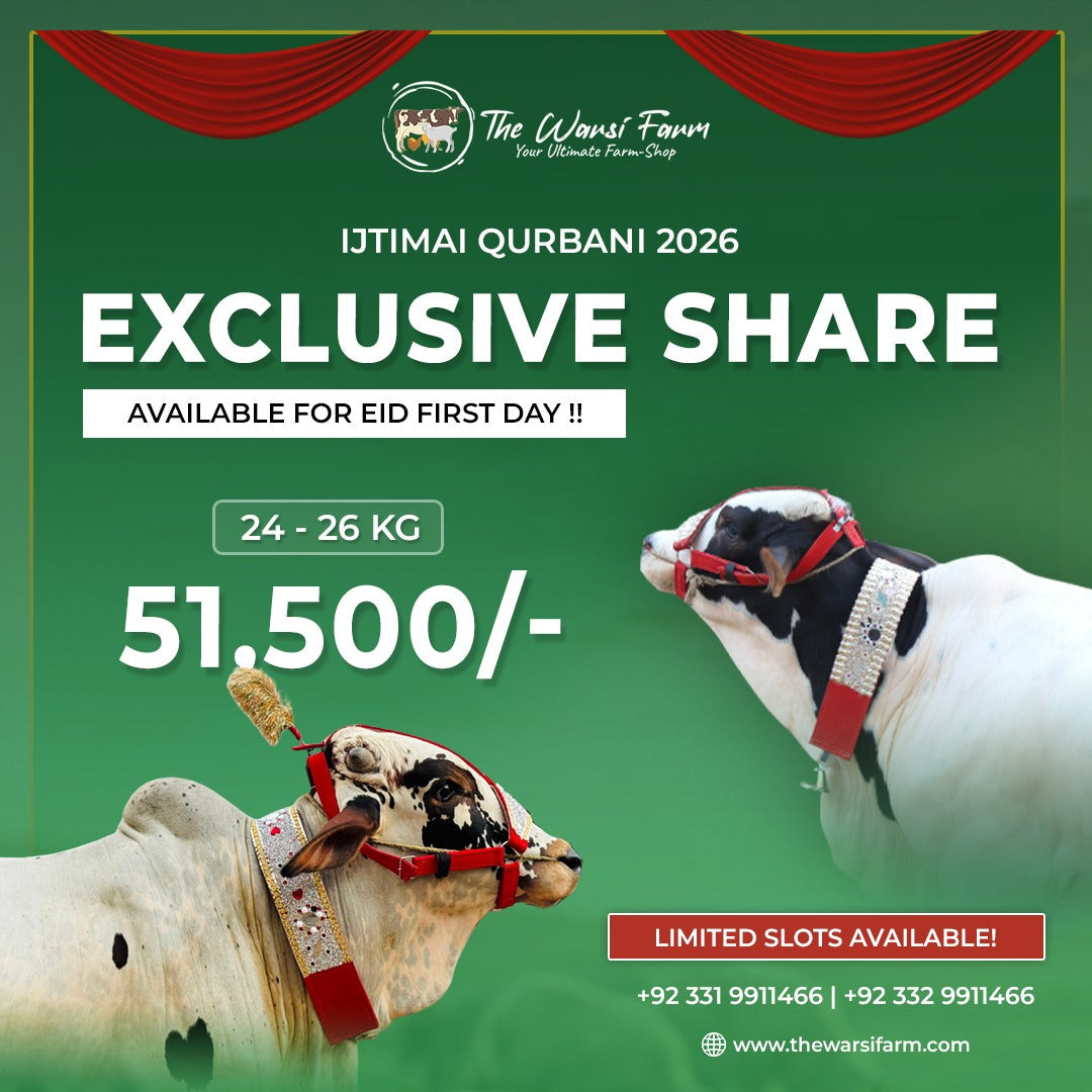 EXCLUSIVE COW SHARE – DAY 01 BOOKINGS OPEN | THE WARSI FARM 2026