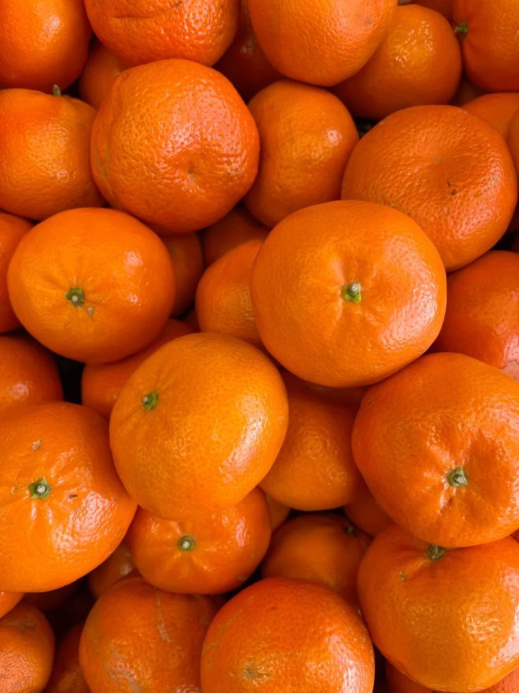 Kinnow Fully Export Quality Box 10Kg+ in Karachi | Premium Sweet Oranges – The Warsi Farm