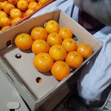 Buy Fresh Oranges in Karachi – Premium Quality by The Warsi Farm | Free Home Delivery