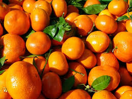 Fresh Sargodha Kinnow in Karachi – Premium Juicy Oranges | The Warsi Farm