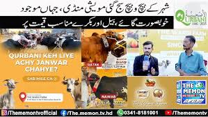 How to Choose the Right Qurbani Service for Eid-ul-Adha 2026