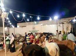 Waqf Qurbani: Turning Your Sacrifice into Lasting Charity