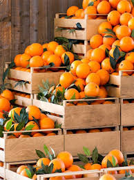 Buy Export Quality Oranges in Pakistan