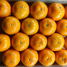 Orange Season in Karachi 2025 – Freshness at Your Doorstep