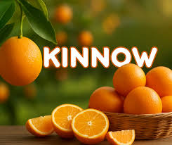 Buy Fresh Kinnow Online in Karachi – The Taste of Winter Delivered