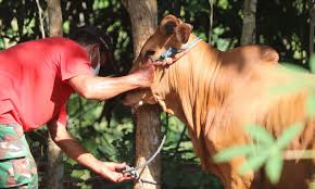 The True Spirit of Qurbani: From Individual Sacrifice to Collective Responsibility in 2026