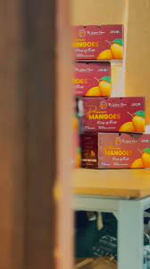 Shai Hope — Consistency, Leadership & the Power of Nutrition (The Warsi Farm Insight)