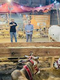 Qurbani 2026 — A Guide to Sunnah, Sacrifice, and Sharing