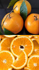 Kinnow Price in Pakistan 2025 – Today’s Updated Rates | The Warsi Farm