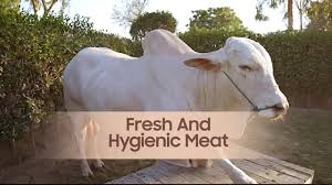 Ijtimai Qurbani Karachi 2026