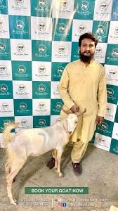 Qurbani – The Sacred Islamic Ritual of Sacrifice
