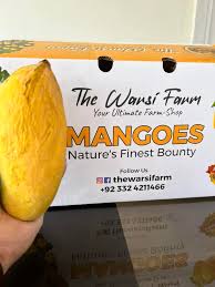 Buy the Best Quality Mangoes Online in Karachi | The Warsi Farm