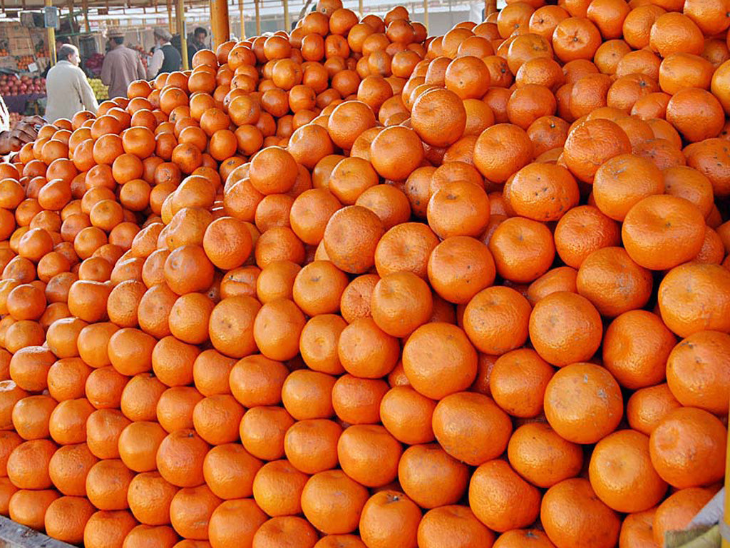 From Karachi’s Markets to Premium Farms: The Rise of Local Citrus Brands