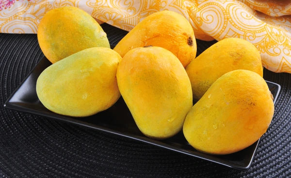Anwar Ratol: The Most Luxurious Mango in Pakistan – The Warsi Farm