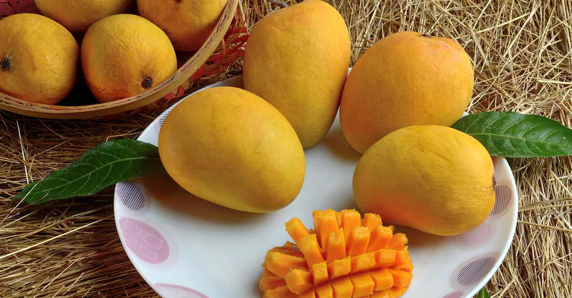 Mango: The King of Fruits