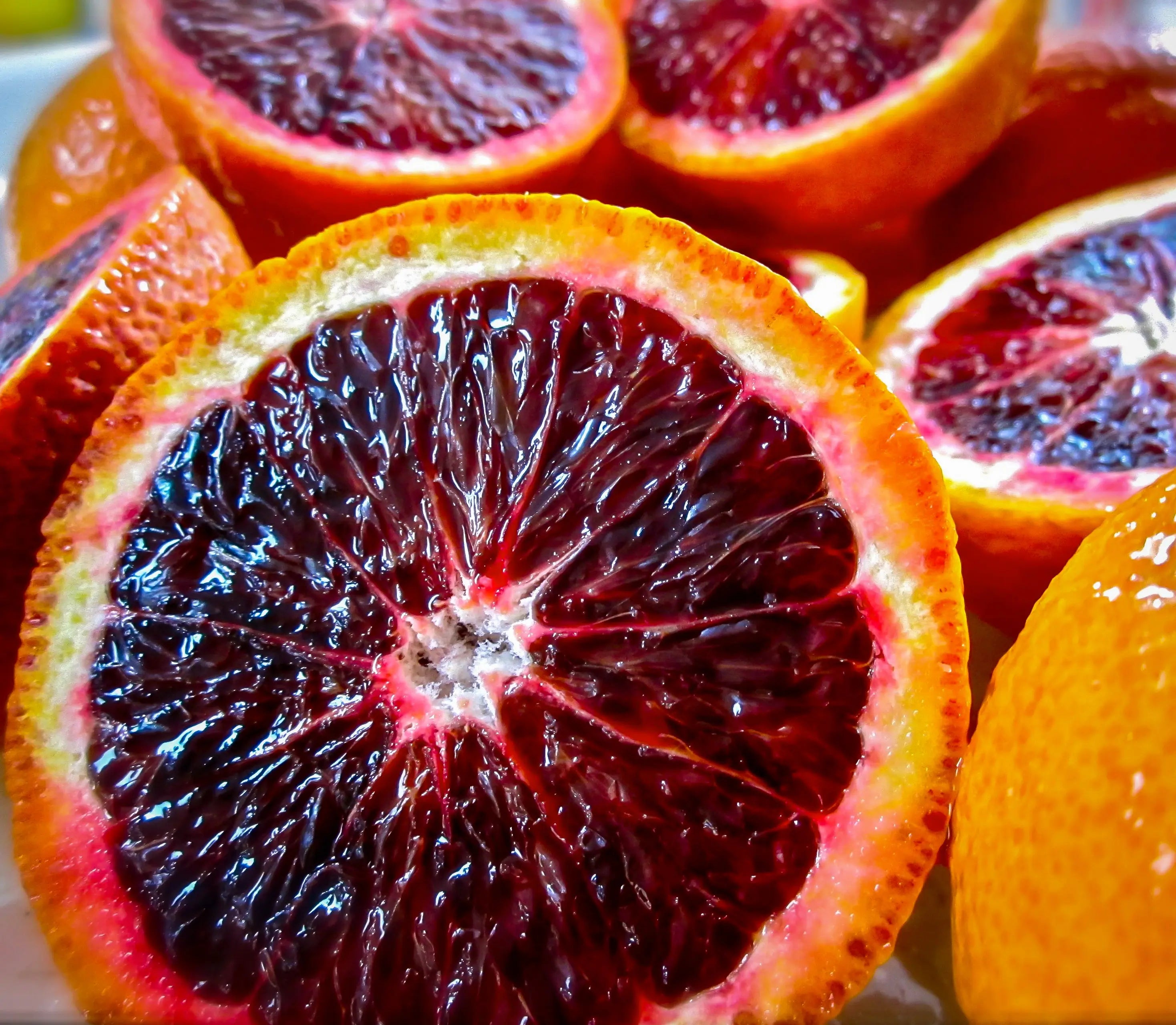 Khanpur Red Blood Oranges – The Finest Winter Citrus in Pakistan | The Warsi Farm